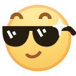 表情_酷